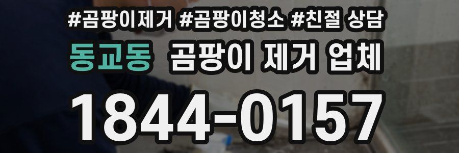 동교동 곰팡이 제거 업체