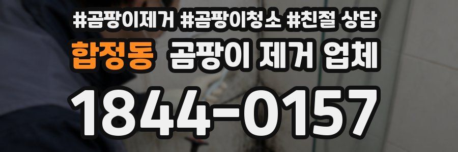 합정동 곰팡이 제거 업체