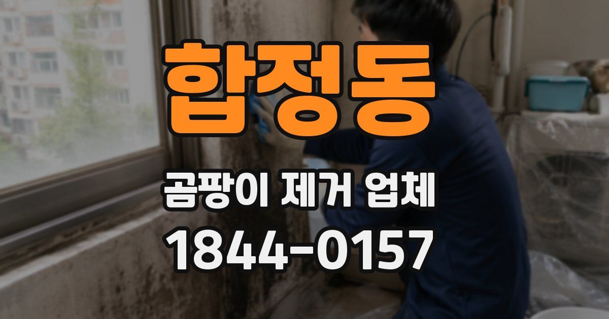합정동 곰팡이 제거 업체