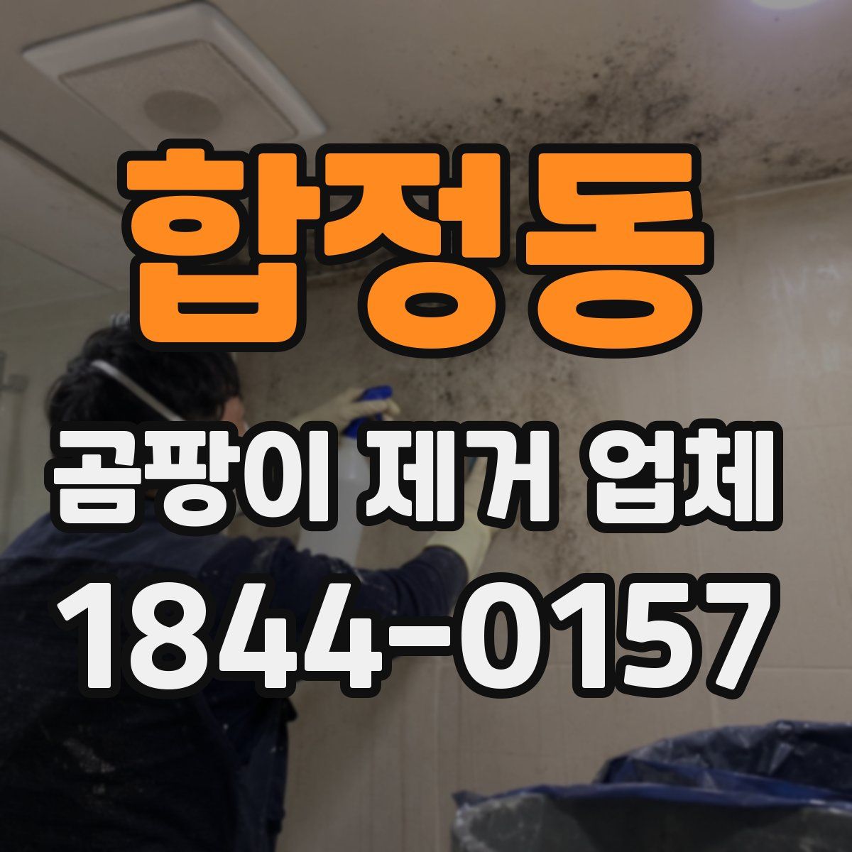 합정동 곰팡이 제거 업체