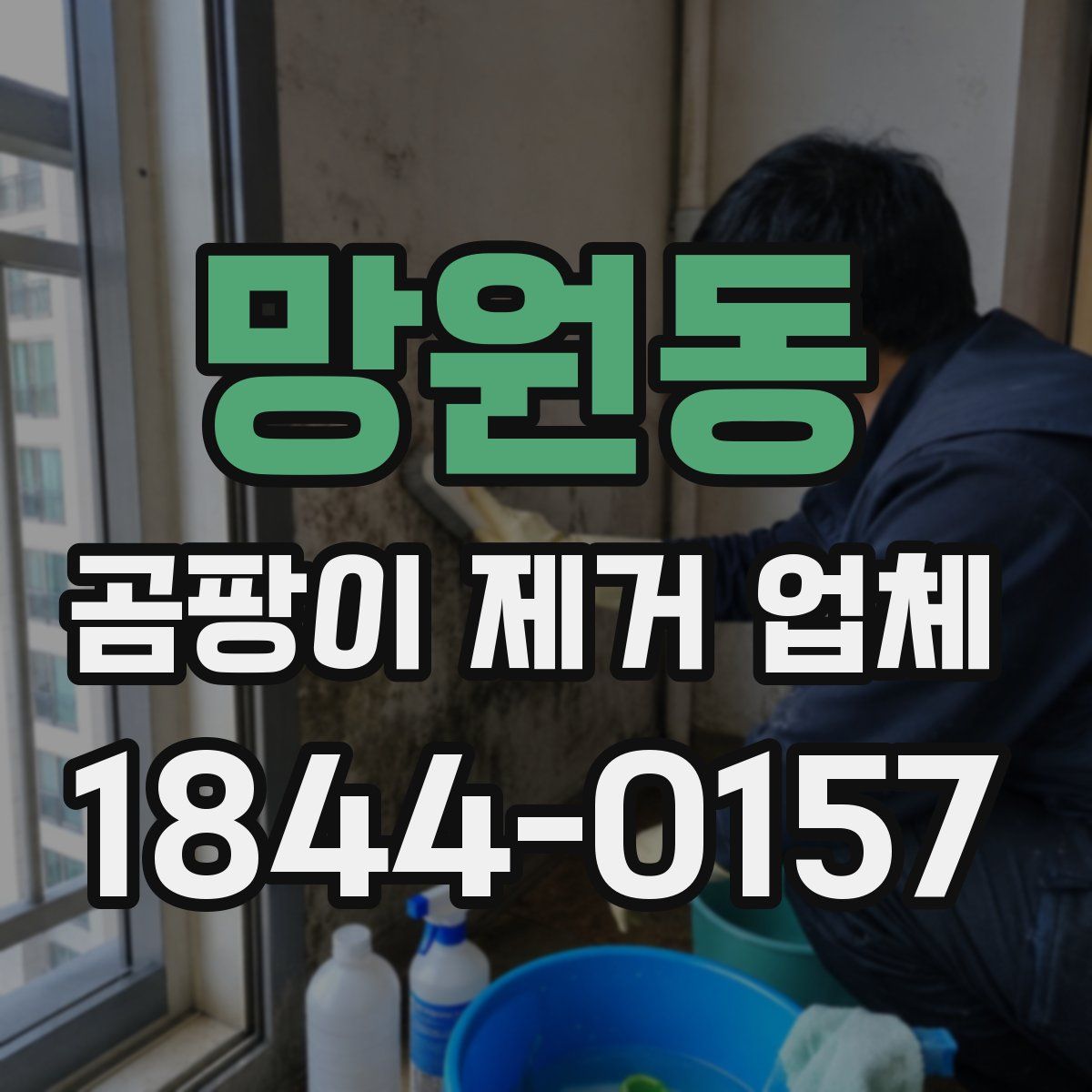 망원동 곰팡이 제거 업체
