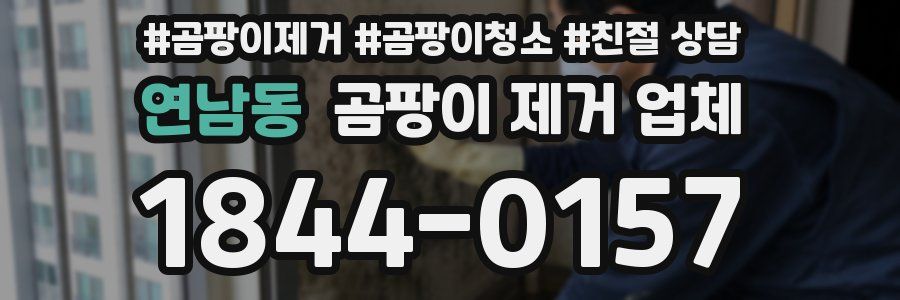 연남동 곰팡이 제거 업체