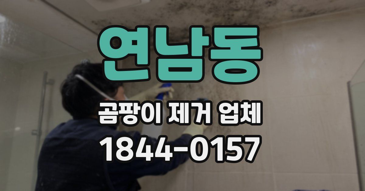 연남동 곰팡이 제거 업체