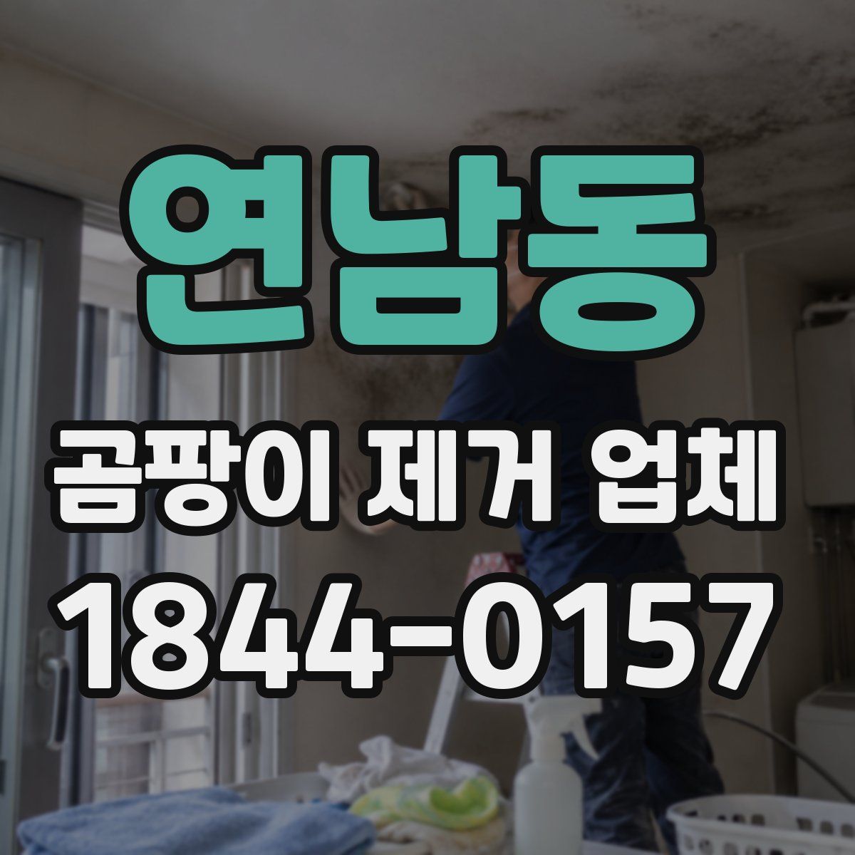 연남동 곰팡이 제거 업체