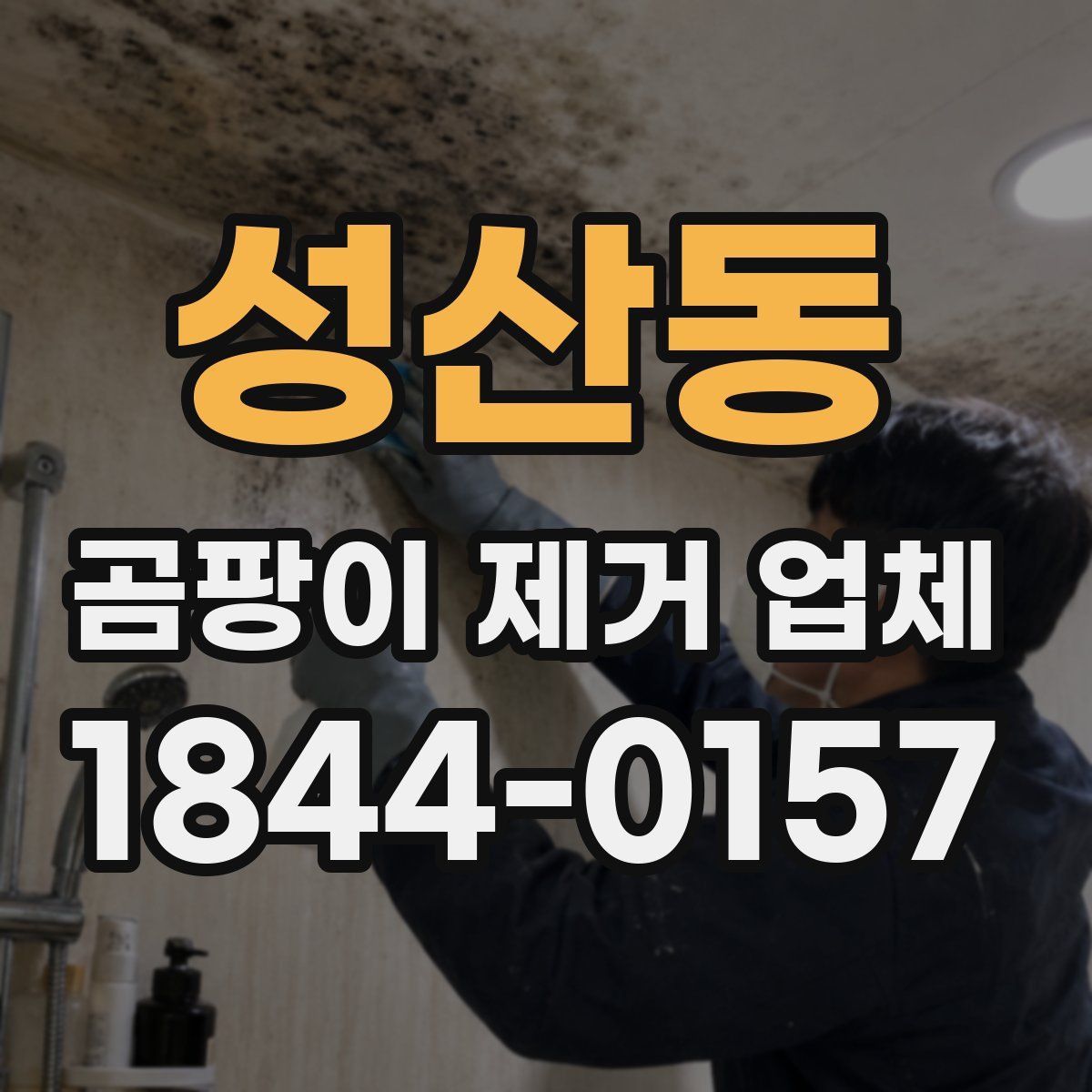 성산동 곰팡이 제거 업체