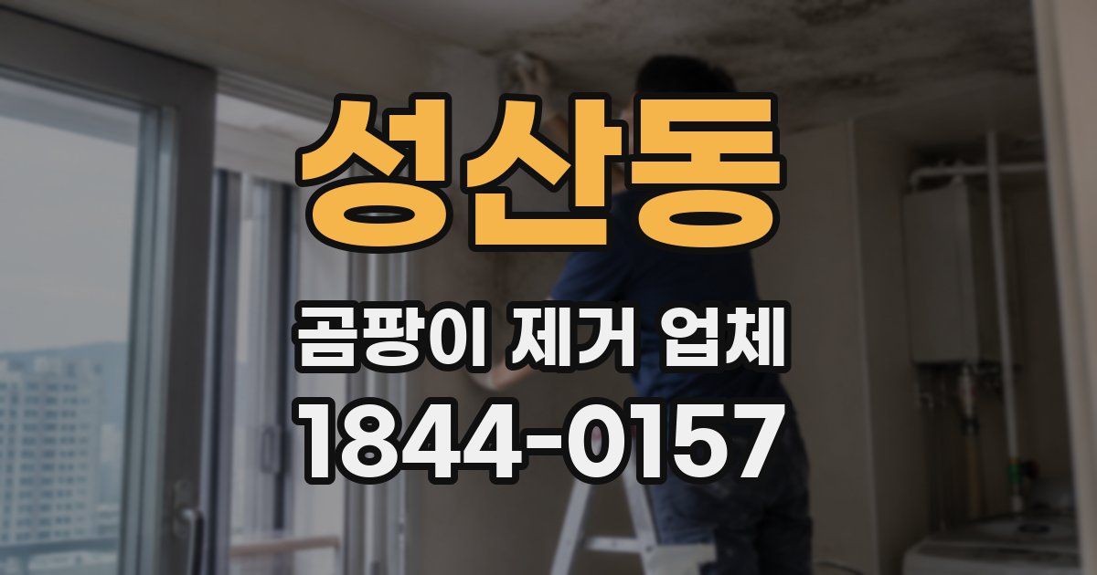 성산동 곰팡이 제거 업체