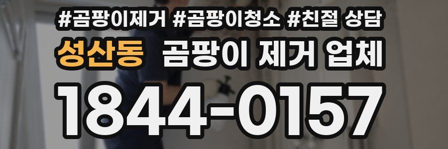 성산동 곰팡이 제거 업체