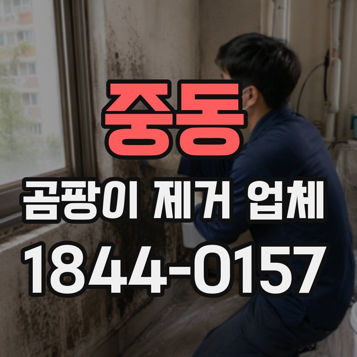 중동 곰팡이 제거 업체