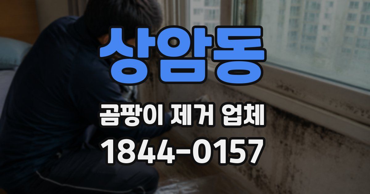 상암동 곰팡이 제거 업체