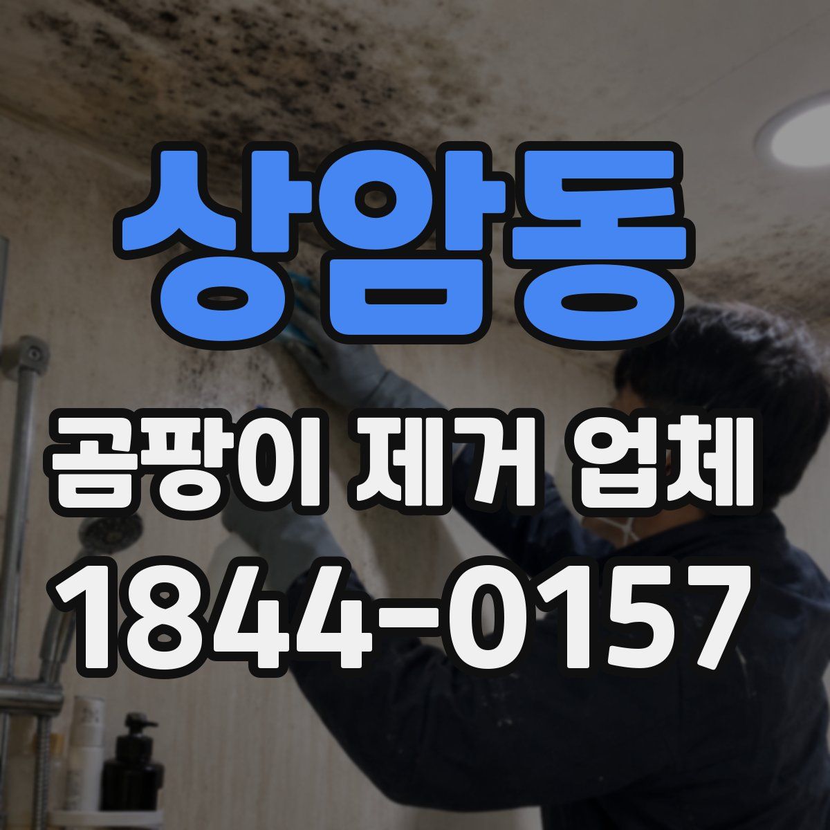 상암동 곰팡이 제거 업체