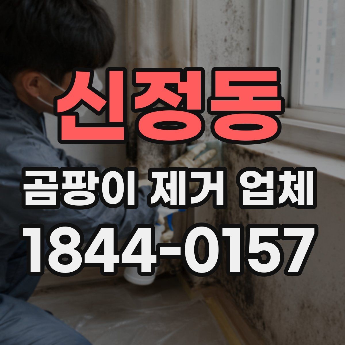 신정동 곰팡이 제거 업체 작업 후 다시 생기지 않게 하려면
