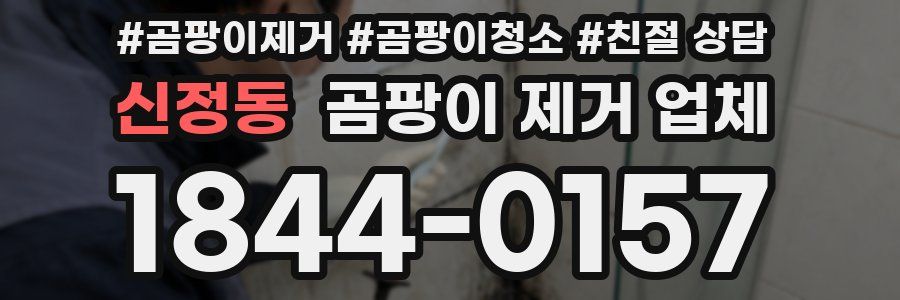 신정동 곰팡이 제거 업체