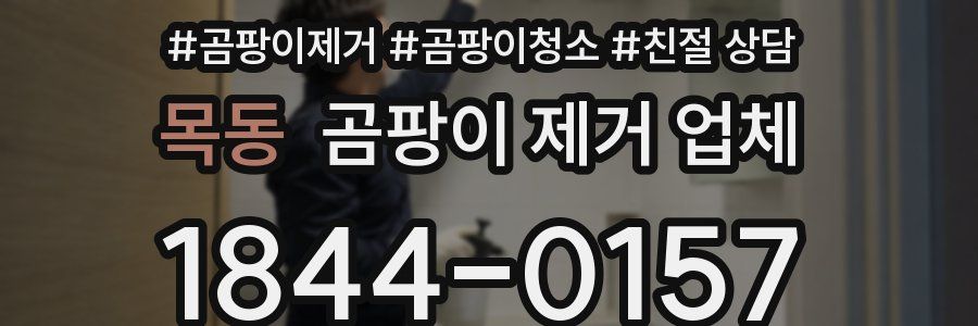 목동 곰팡이 제거 업체