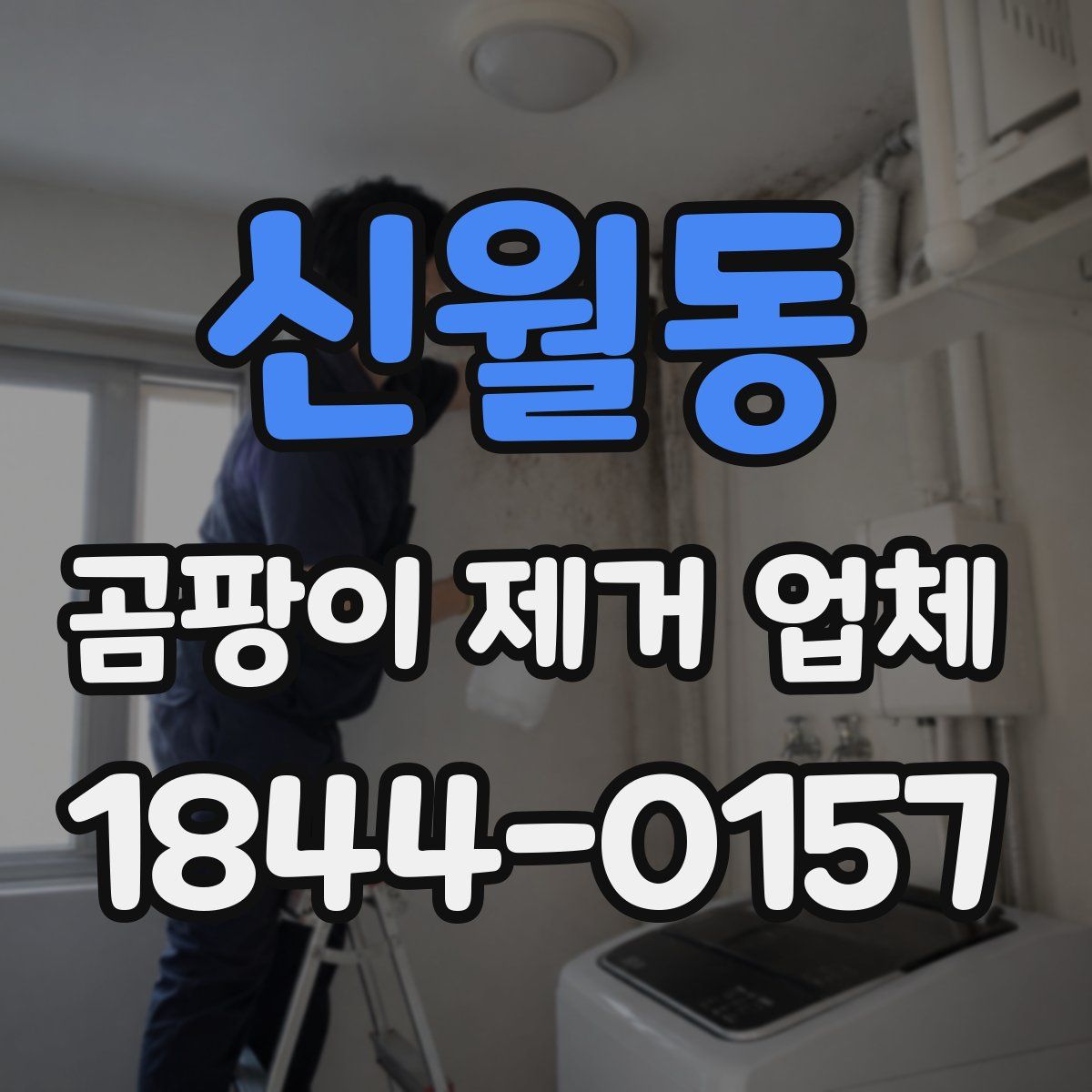신월동 곰팡이 제거 업체