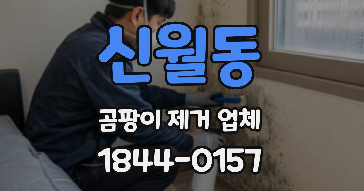 신월동 곰팡이 제거 업체