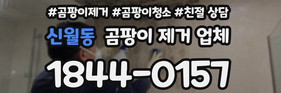 신월동 곰팡이 제거 업체