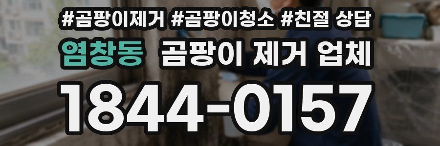 염창동 곰팡이 제거 업체
