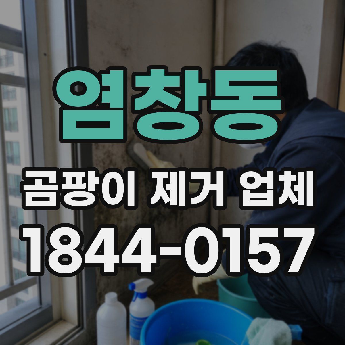 염창동 곰팡이 제거 업체