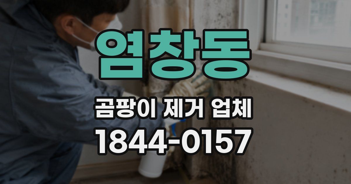 염창동 곰팡이 제거 업체