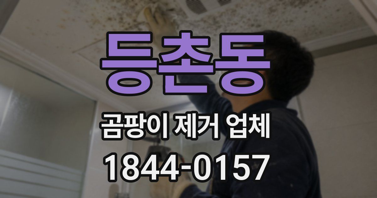 등촌동 곰팡이 제거 업체