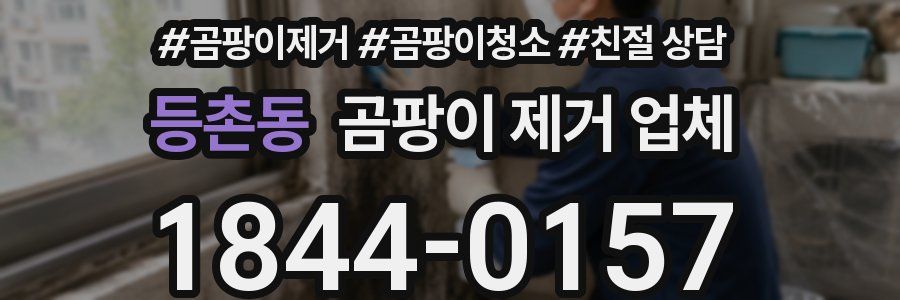 등촌동 곰팡이 제거 업체