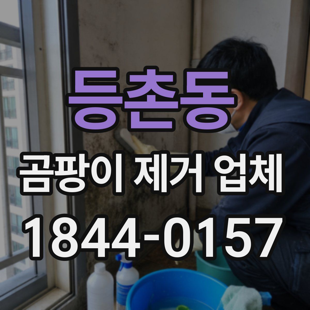 등촌동 곰팡이 제거 업체