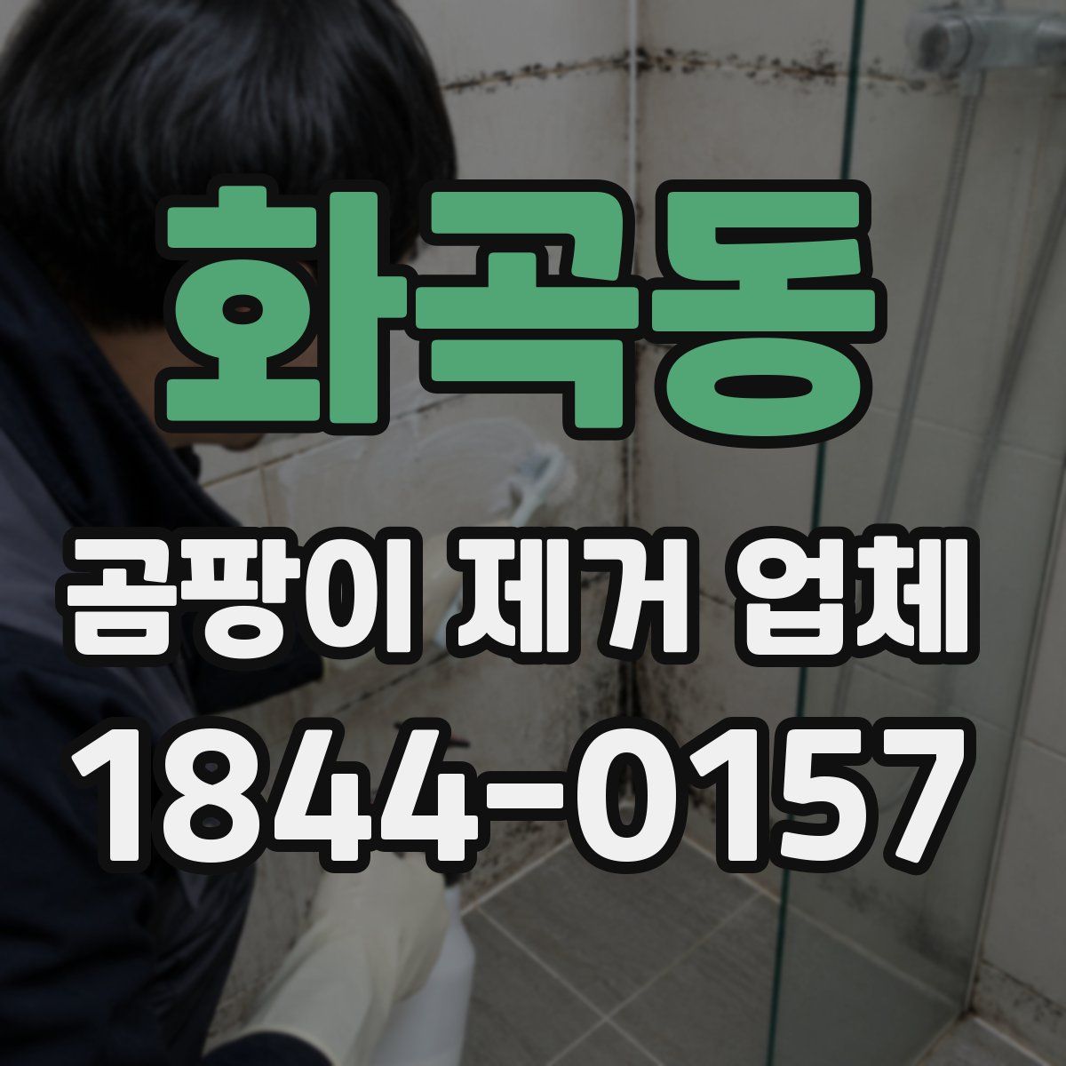 화곡동 곰팡이 제거 업체