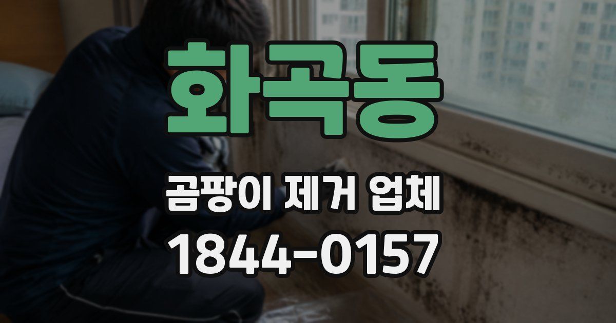 화곡동 곰팡이 제거 업체