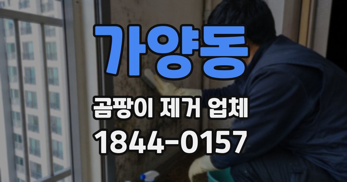 가양동 곰팡이 제거 업체