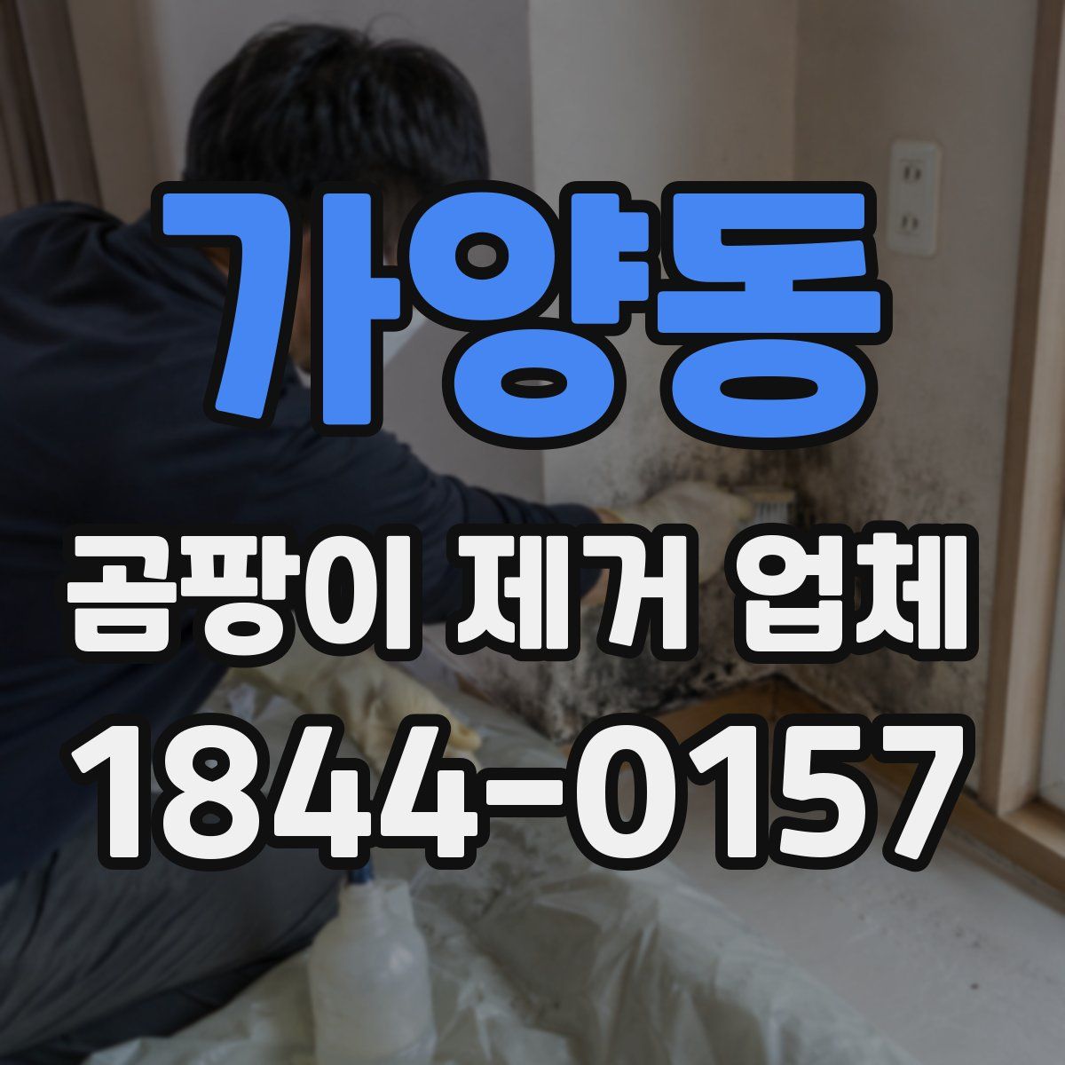 가양동 곰팡이 제거 업체