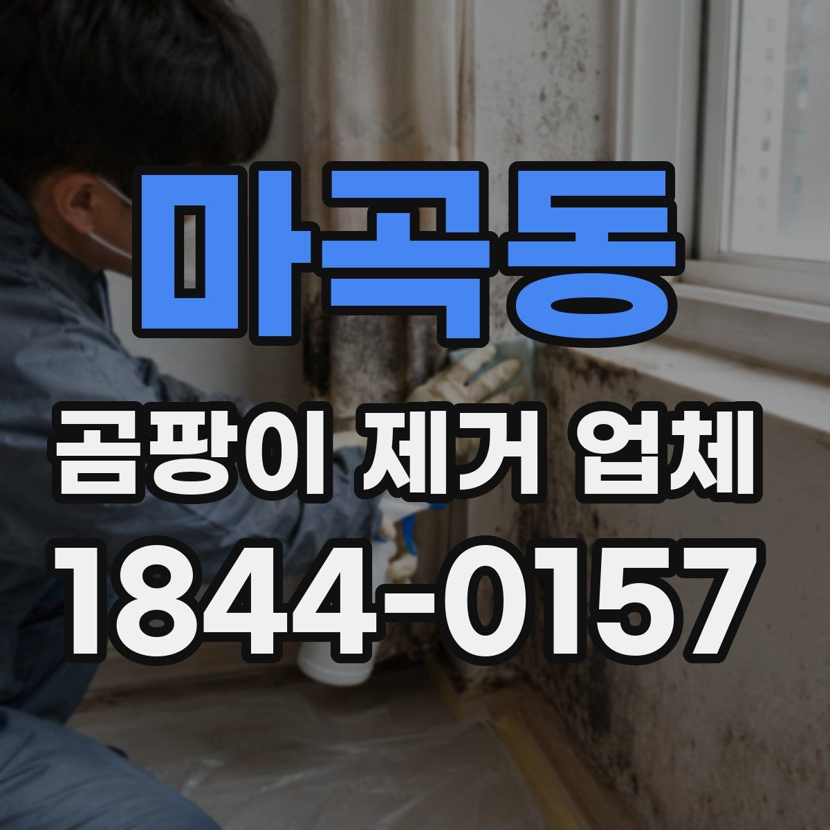 마곡동 곰팡이 제거 업체