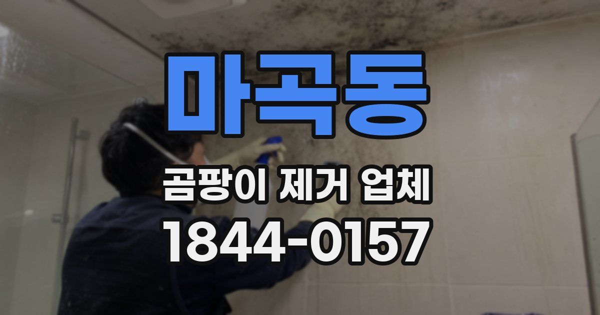 마곡동 곰팡이 제거 업체