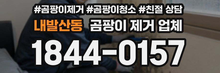 내발산동 곰팡이 제거 업체