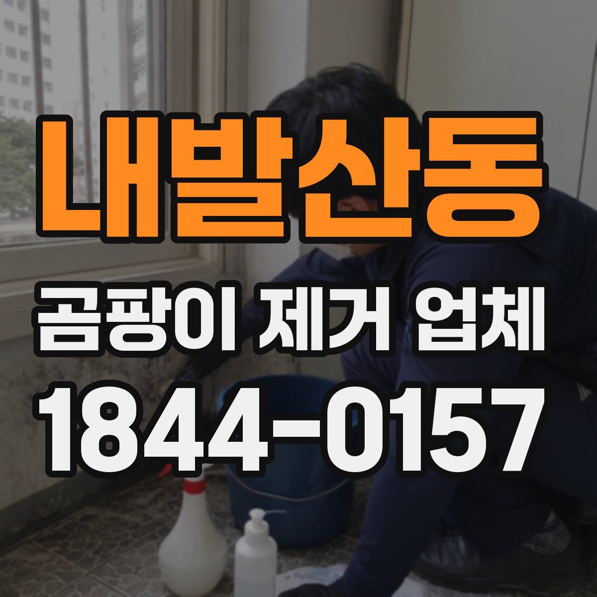 내발산동 곰팡이 제거 업체