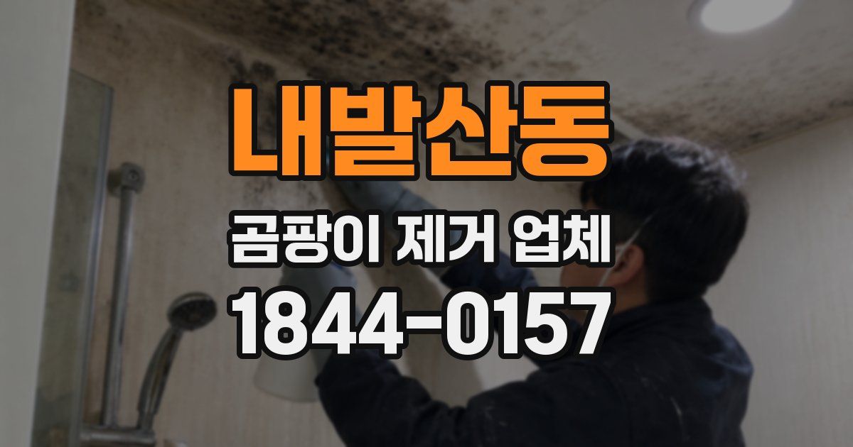 내발산동 곰팡이 제거 업체