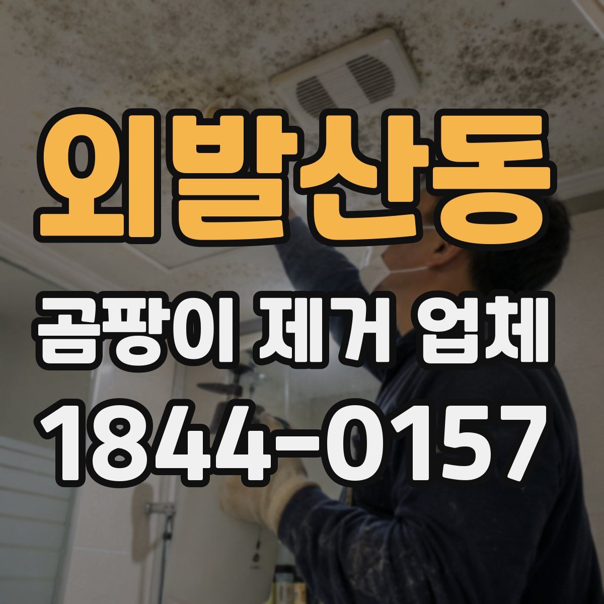 외발산동 곰팡이 제거 업체