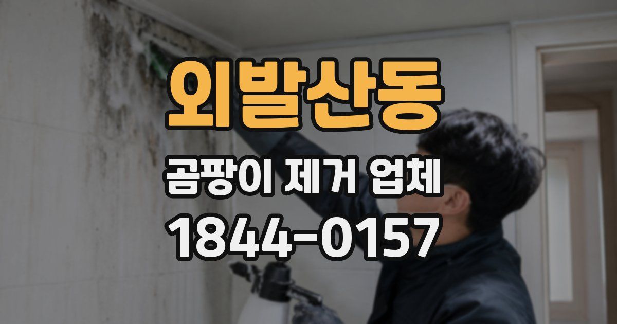 외발산동 곰팡이 제거 업체