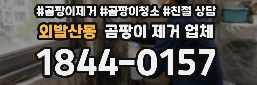 외발산동 곰팡이 제거 업체
