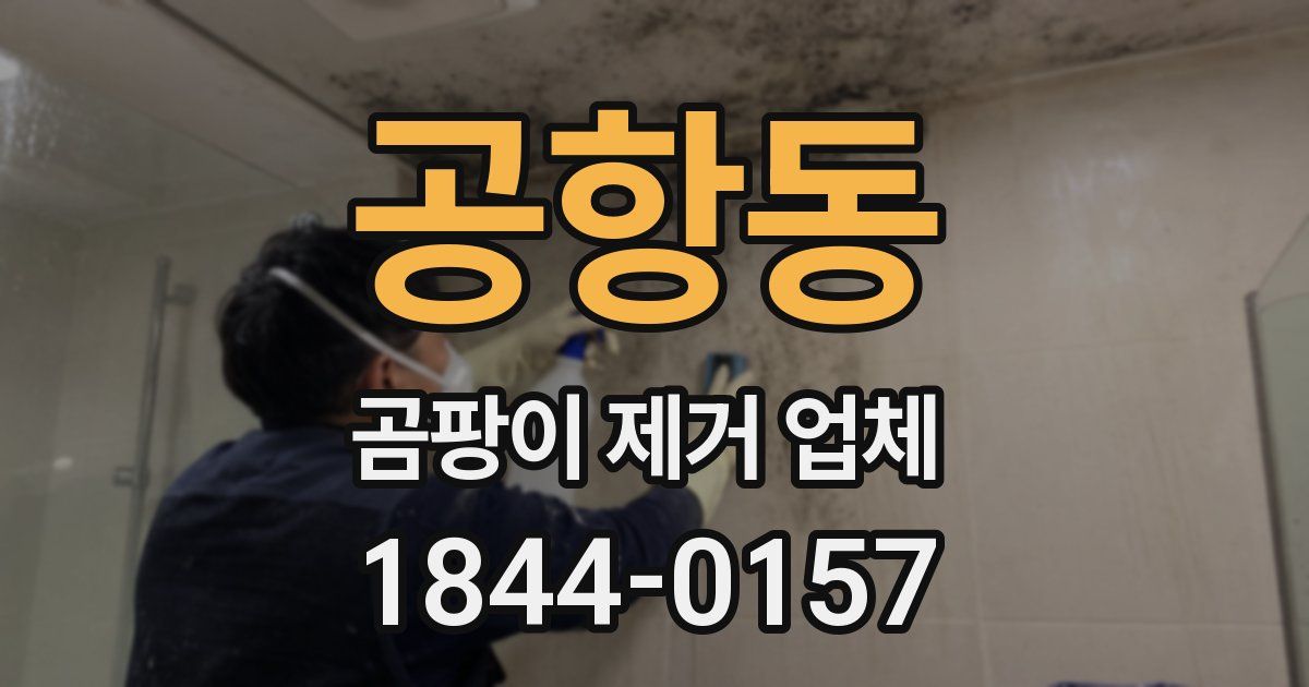 공항동 곰팡이 제거 업체
