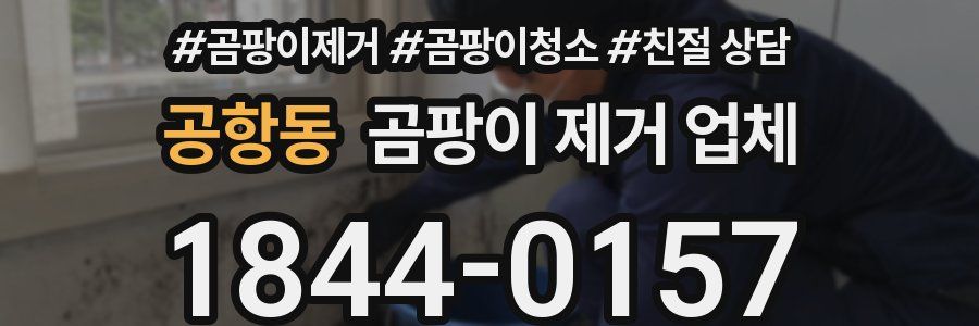 공항동 곰팡이 제거 업체
