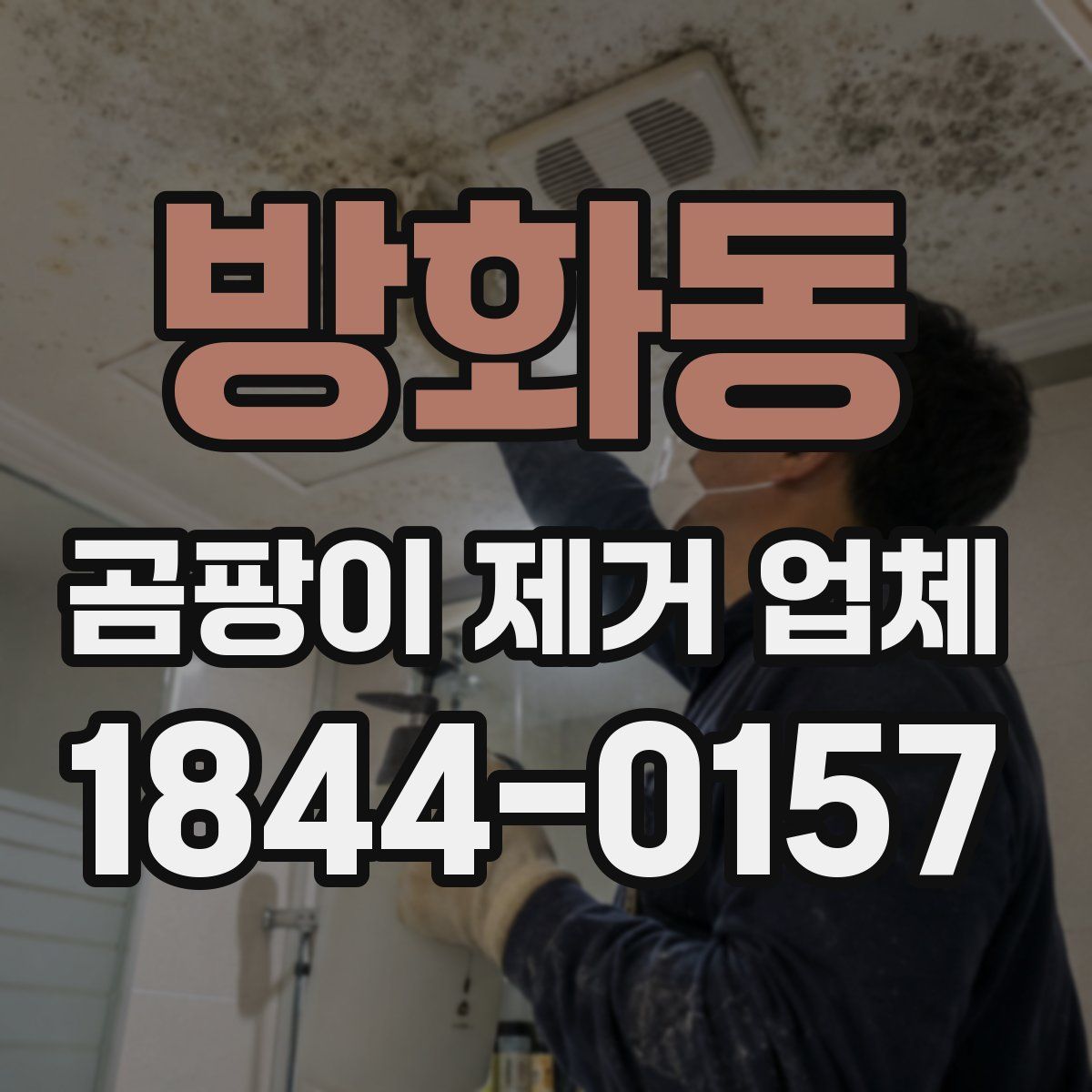 방화동 곰팡이 제거 업체
