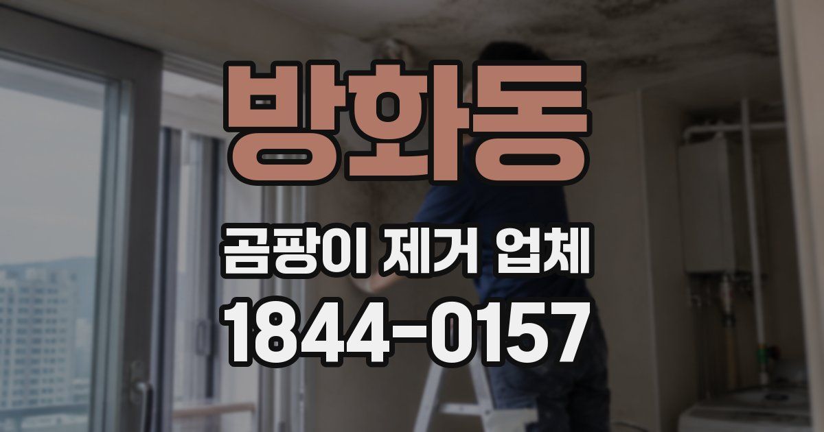 방화동 곰팡이 제거 업체