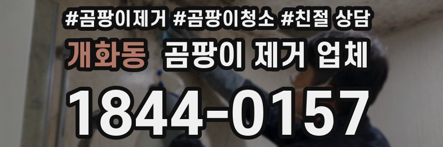 개화동 곰팡이 제거 업체
