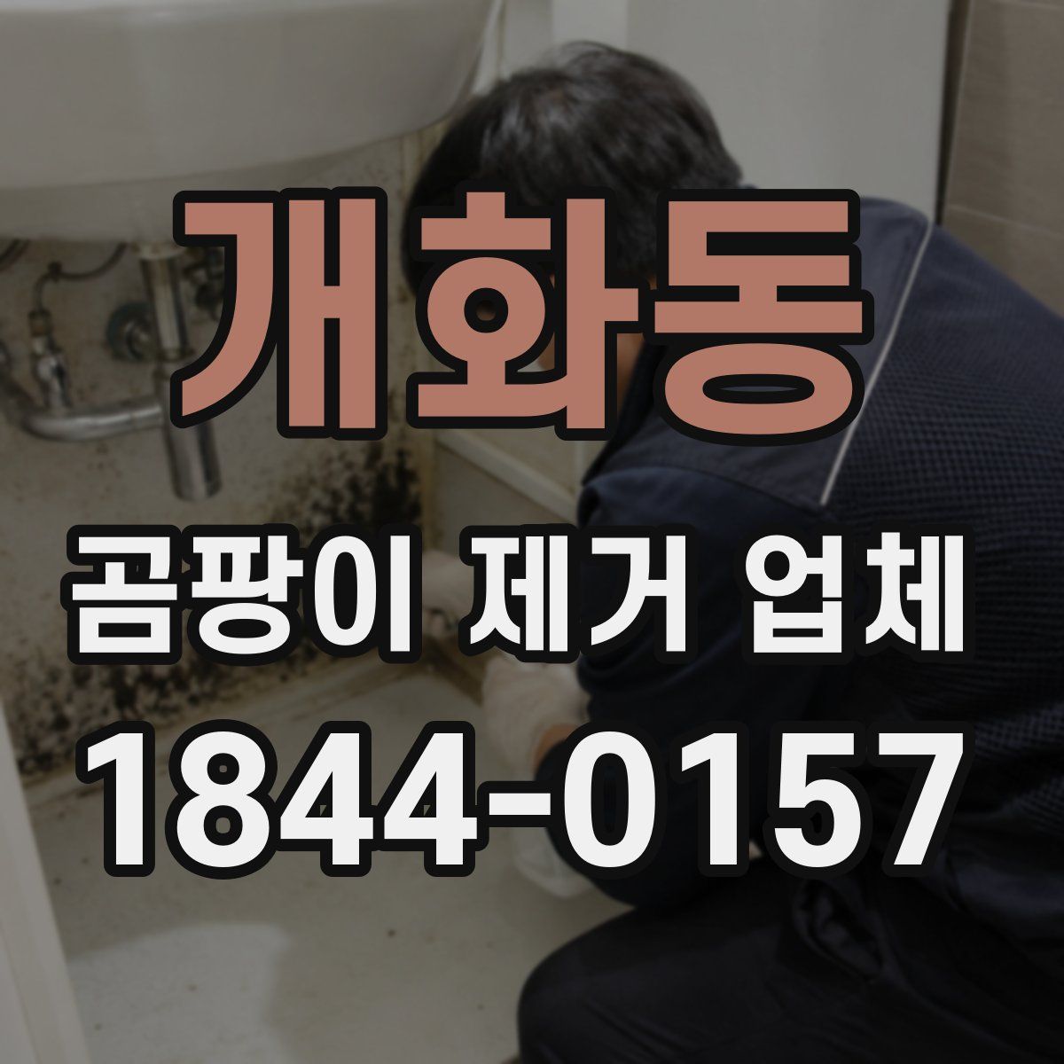개화동 곰팡이 제거 업체