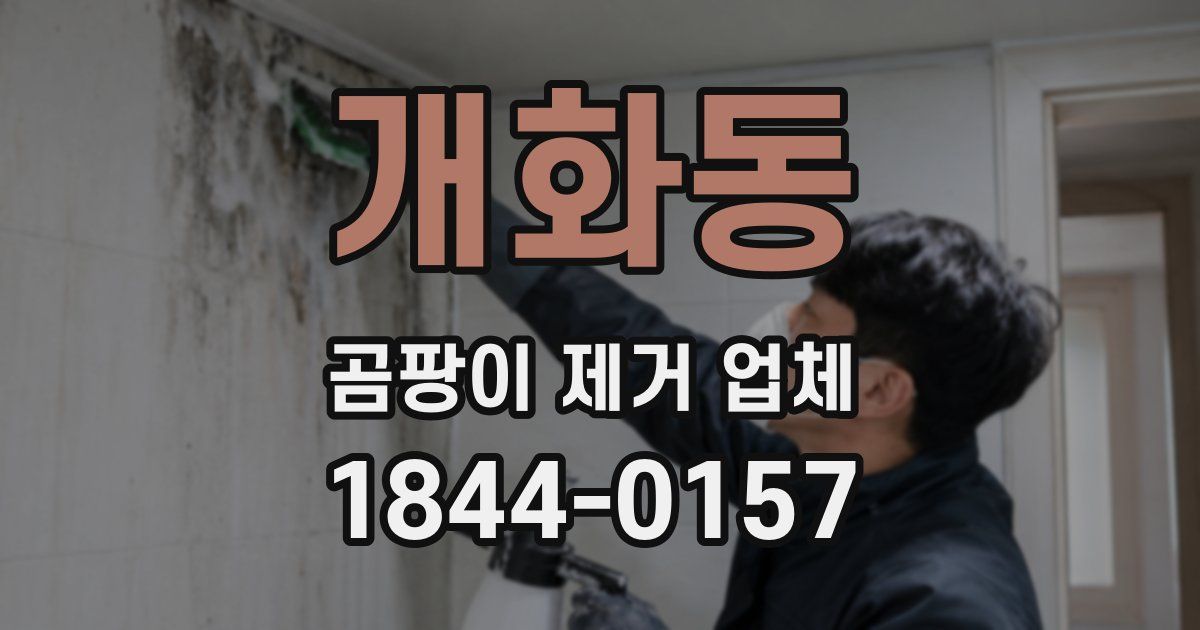 개화동 곰팡이 제거 업체