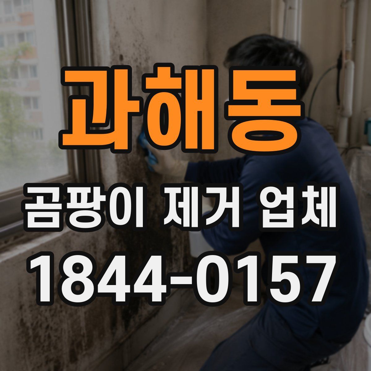 과해동 곰팡이 제거 업체