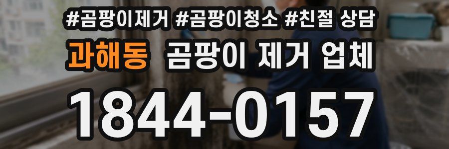 과해동 곰팡이 제거 업체