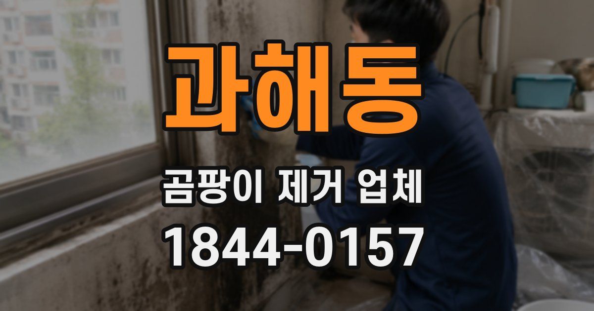 과해동 곰팡이 제거 업체