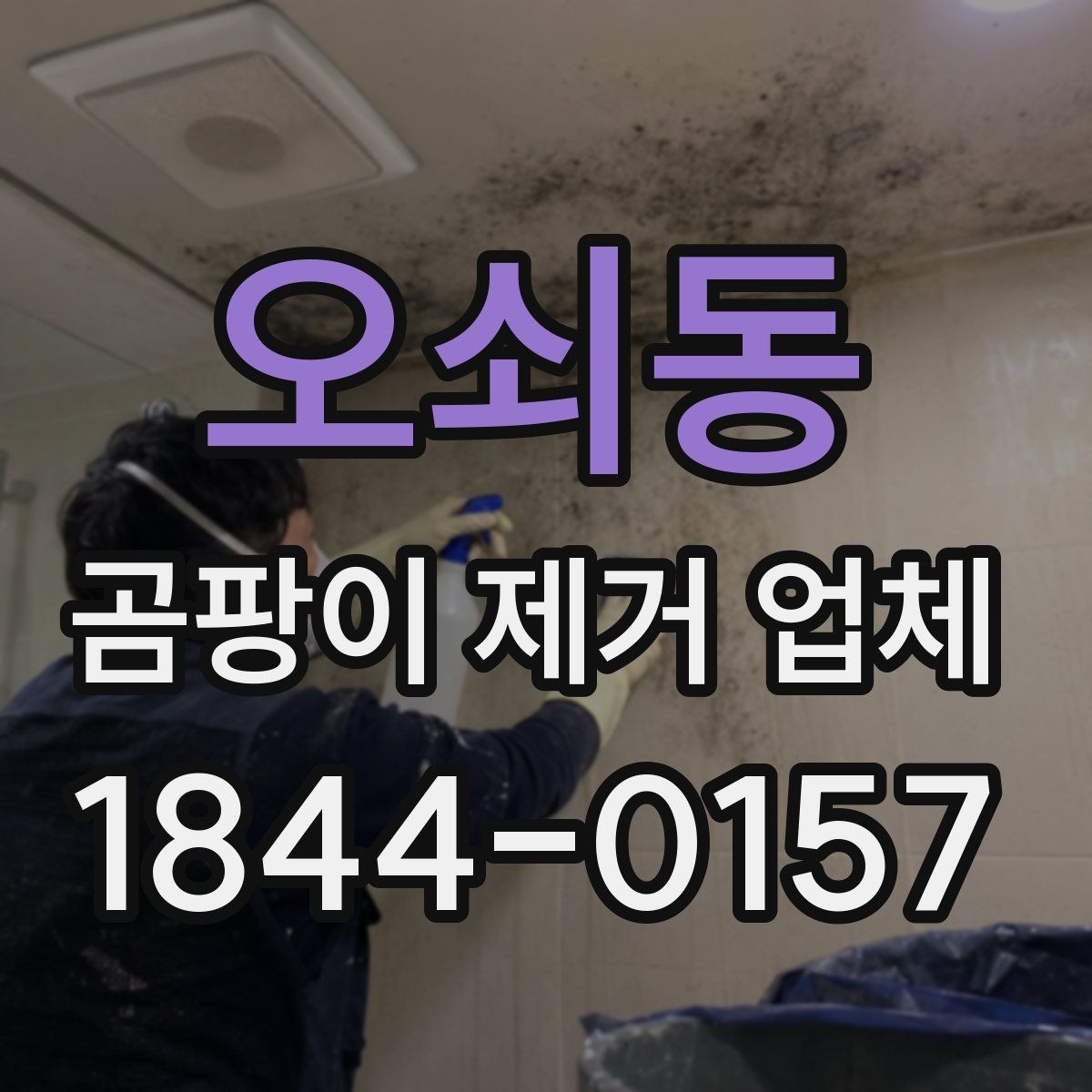오쇠동 곰팡이 제거 업체