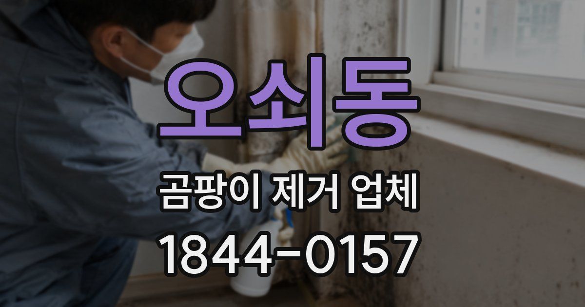 오쇠동 곰팡이 제거 업체